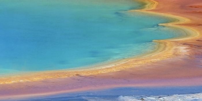 Evolution may Have Been Helped Along by Mobile DNA