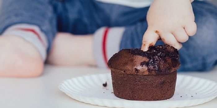 When Should Babies Begin Solid Food?