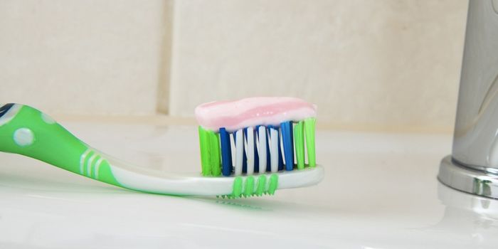 A World of Mysterious Microbes on... Your Toothbrush?