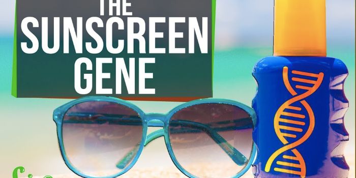 The Sunscreen Gene