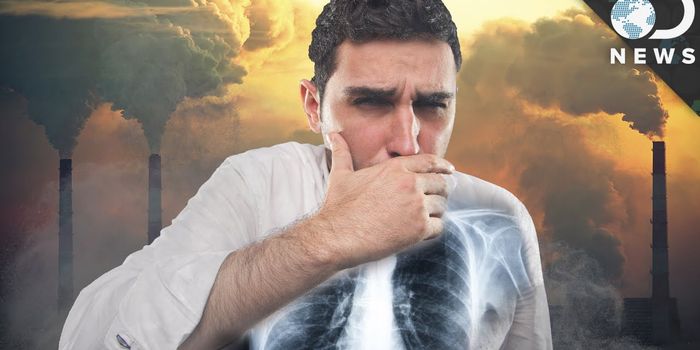 Why Pollution is Bad for Your Health