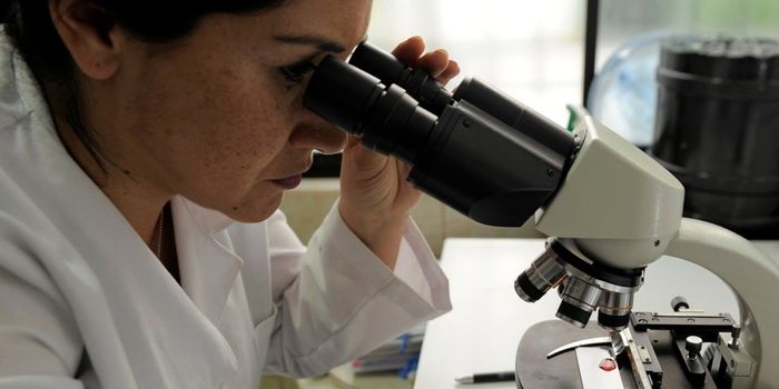 Gut Bacteria Influence the Efficacy of a Parkinson's Drug