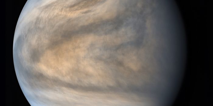 Planetary Scientists Peer Into the Depths of Venus' Atmosphere