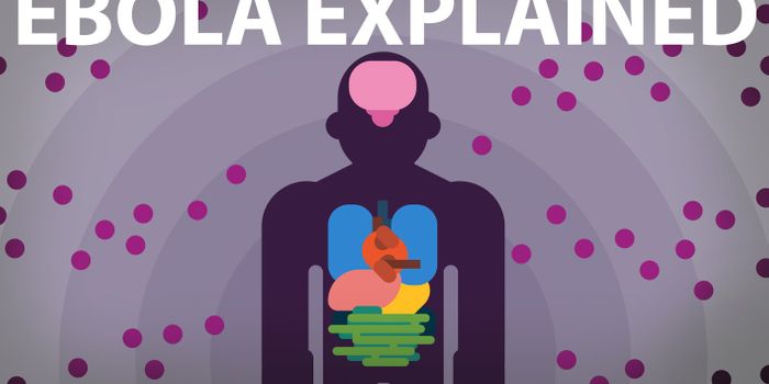 The Ebola Virus Explained