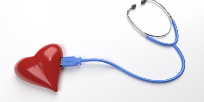 Towards a Deeper Understanding of Heart Development