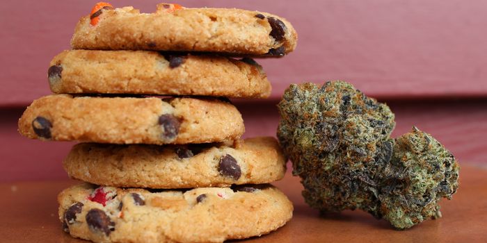 Concerns Over Delta-8?