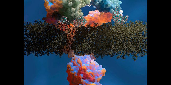 Genomic Markers Identified for Infant Soft Tissue Tumors