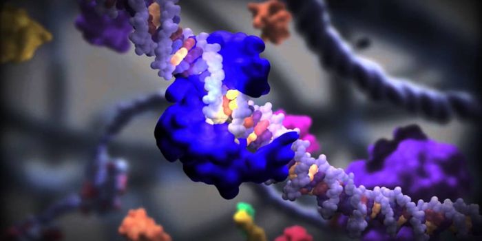 Tuning Transcription Factors and Genetic Expression