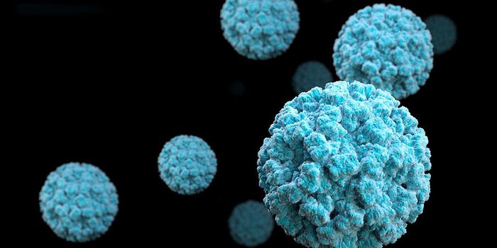 Norovirus Sneaks Around in the Gut to Avoid Detection