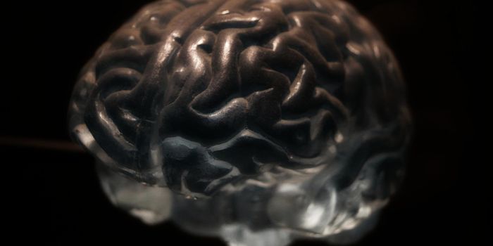 Blood Vessel Disease May Worsen Cognition in Alzheimer's Disease