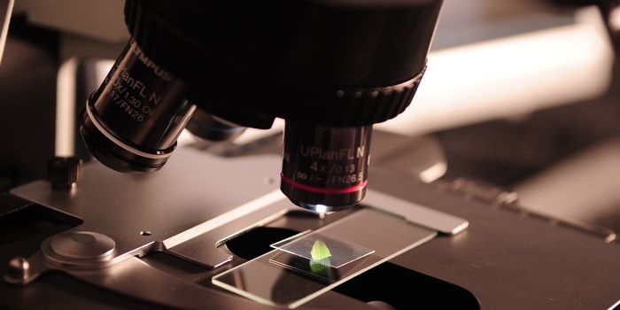 "Study May Proceed" for Major Depressive Disorder Drug