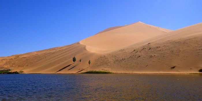 This Desert Has Unexplained Lakes All Over