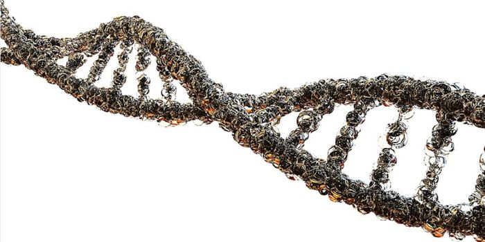 Targeting Proteins Linked to Huntington's & ALS With a New Gene Editing Tool