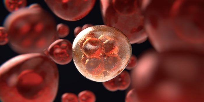 Insights Into a Phenomenon of Aging - Clonal Hematopoiesis