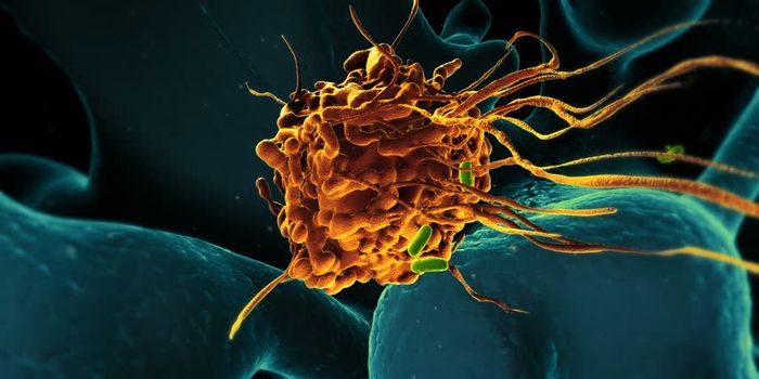 Isolating a Neurological Protein May Protect Against Inflammatory Disorders