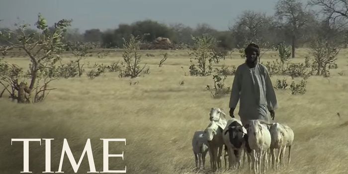 Africa's Great Green Wall