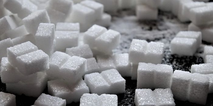 Genetic Variant Makes Sugar Healthier for Carriers
