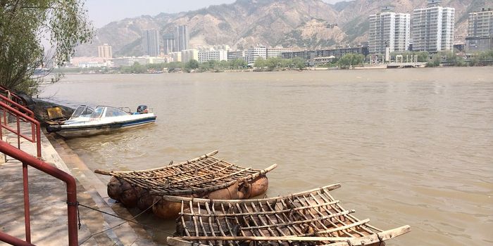 Why are runoff and sediment load declining in the Yellow River?