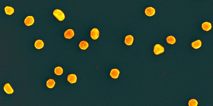 Gold Nanoparticles Destroy Cancer in Mice