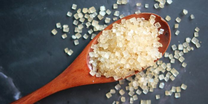 Erythritol Affects Brain Cells, May Increase Stroke Risk