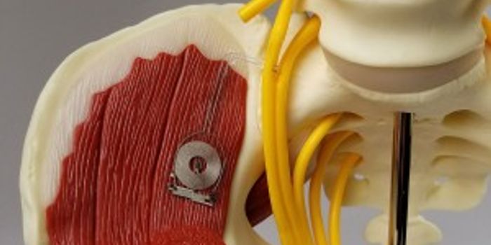 First Bio-electronic Medical Device