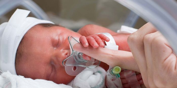 Mending Holes in the Hearts of Extremely Premature Babies