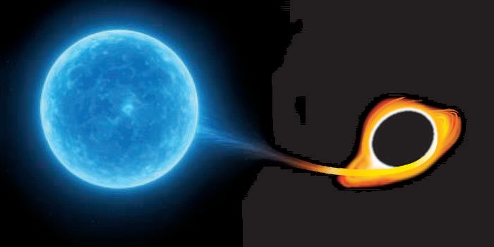 Gaia Data Uncovers Rare, Ultra-Bright Cosmic Flares