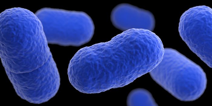 'Fosfomycin' Antibiotic Treatment to Combat Listeria Infections