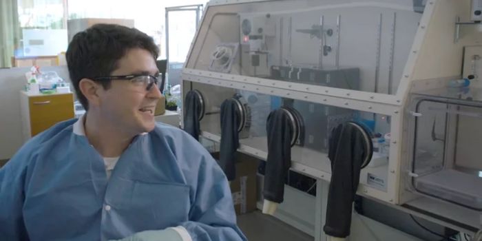 Stem Cells are Locked into the Developmental Process