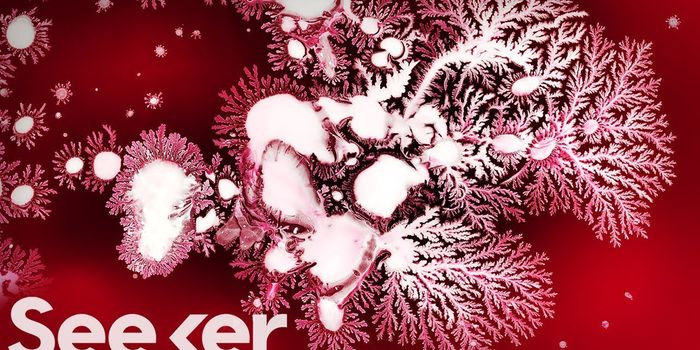 The Smallest Life Form