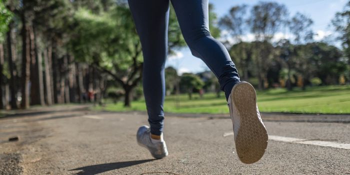 A Flow Valve in the Gut is Found