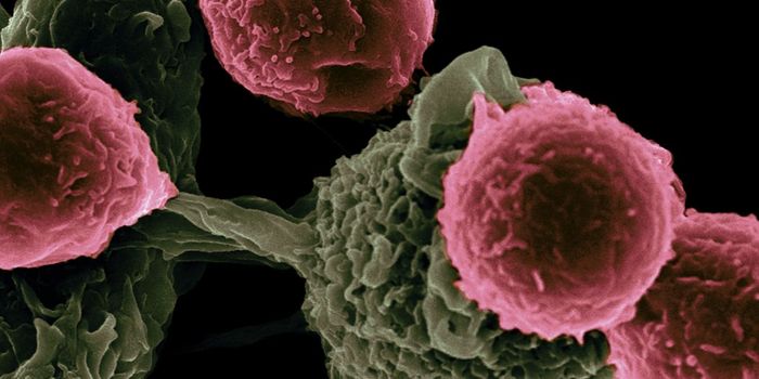 Researchers Solve Key Problem for Cancer Immunotherapy