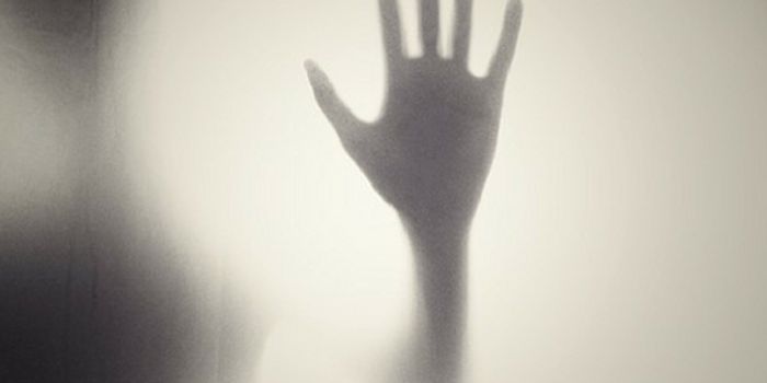 A New Kind of Skin for Prosthetic Hands