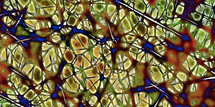 Predictions in the Fly Brain Use Potentially Universal Methods