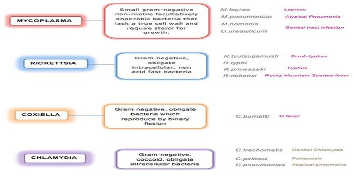 Use of Functional Inhibitors of Acid Sphingomyelinase (FIASMA) to Treat Intracelluar Bacterial Infections
