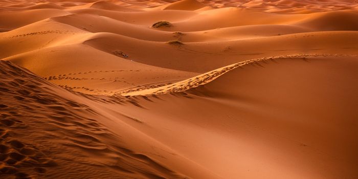 What we don't know about the Sahara