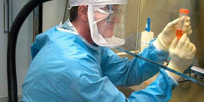 More Potential Antibody Therapies for COVID Emerge