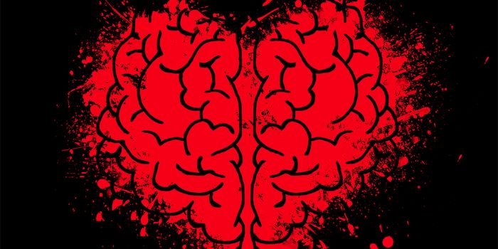 Study Identifies a Potential Target for Glioblastoma Drugs