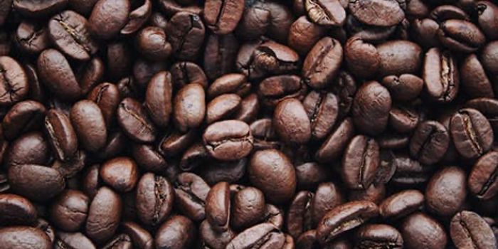 Coffee is Associated with Increased Longevity