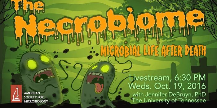 The Necrobiome: Microbial Communities of Death