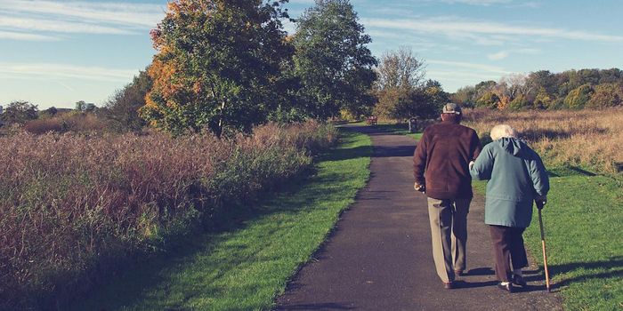 GlyNAC Supplements Reversed Signs of Aging in Clinical Trial