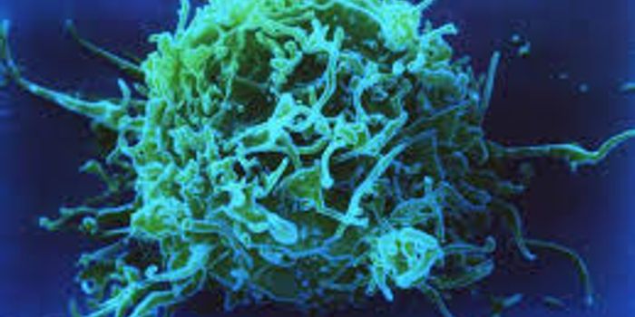 Targeting Killer T-Cells