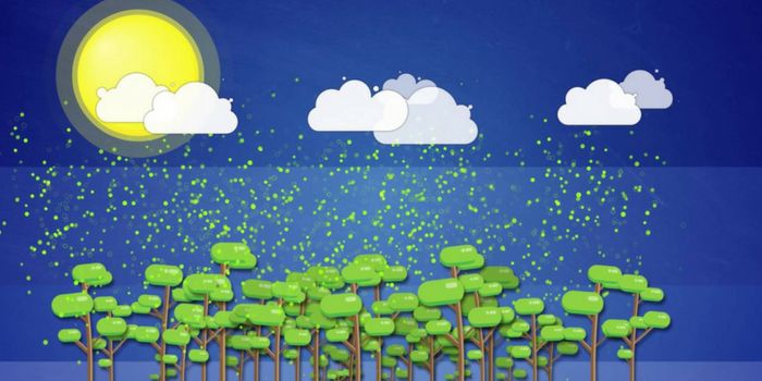 The CLOUD Experiment at CERN