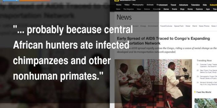 Study Reveals Origins Of AIDS Pandemic: A 'Perfect Storm'