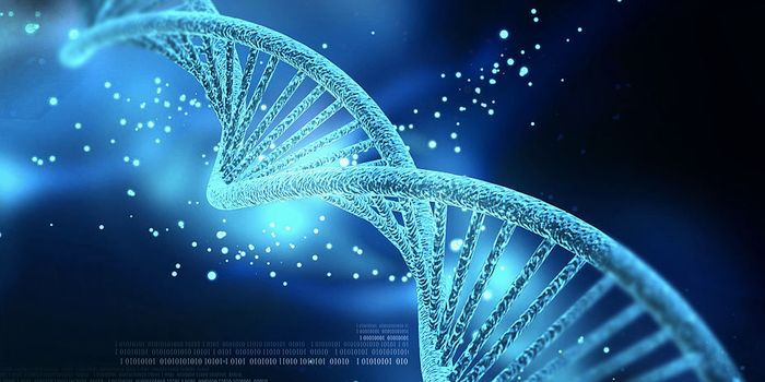 A Completely new Look at DNA Replication