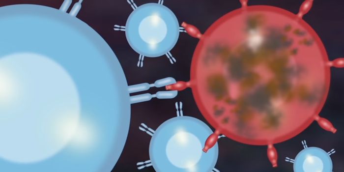 Towards a Targeted Elimination of Leukemic Cells