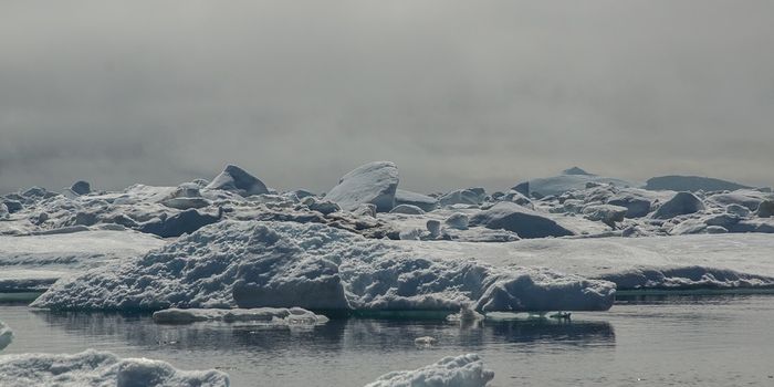 The fate of Greenland