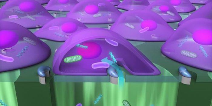 Researchers Deliver Large Particles Into Cells at High Speed