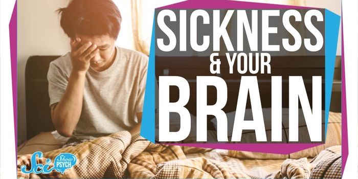 The Sickness Effect: It's All in Your Head