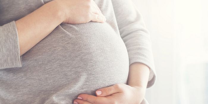 Probiotics May Help Alleviate Nausea & Vomiting During Pregnancy